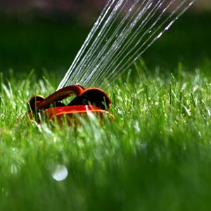 water sprinkler
